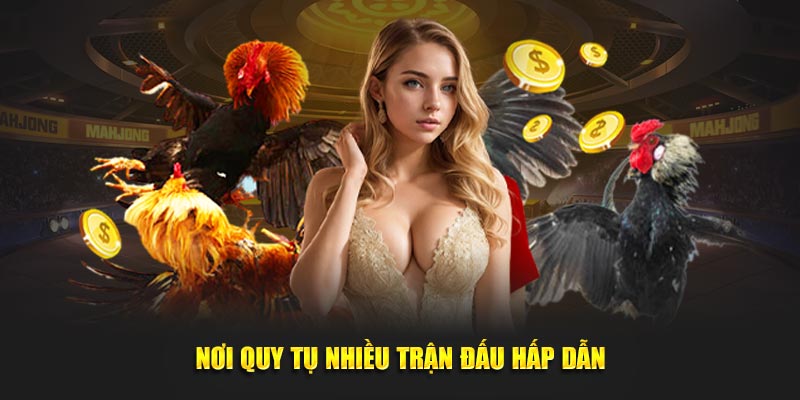 Nơi quy tụ nhiều trận đấu hấp dẫn, gay cấn nhất